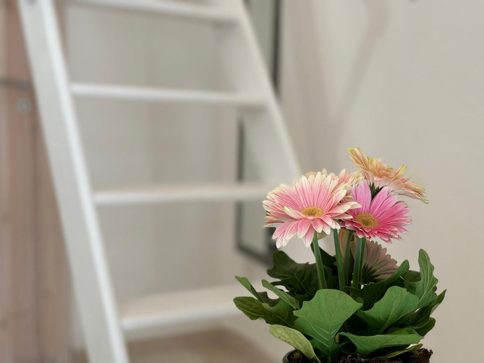 Casa Ostuni Mono Lovely Εξωτερικό φωτογραφία
